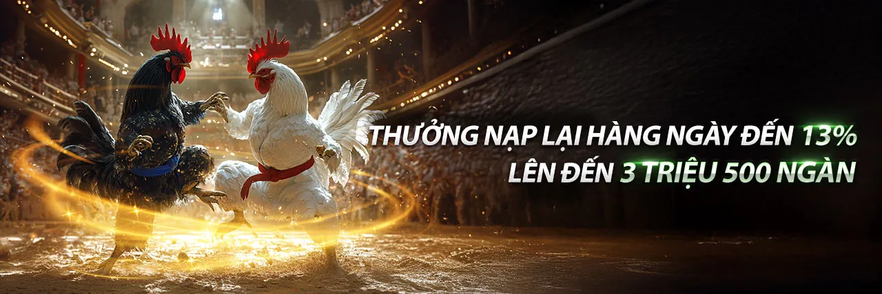Đá Gà Trực Tuyến vv88 code 2026 - Sân Đấu Hấp Dẫn